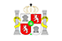 Villarrica