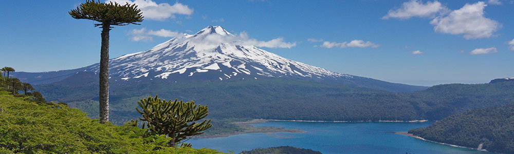 Temuco