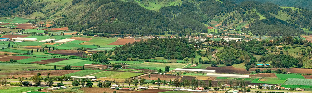Constanza