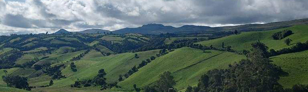 Tulcán