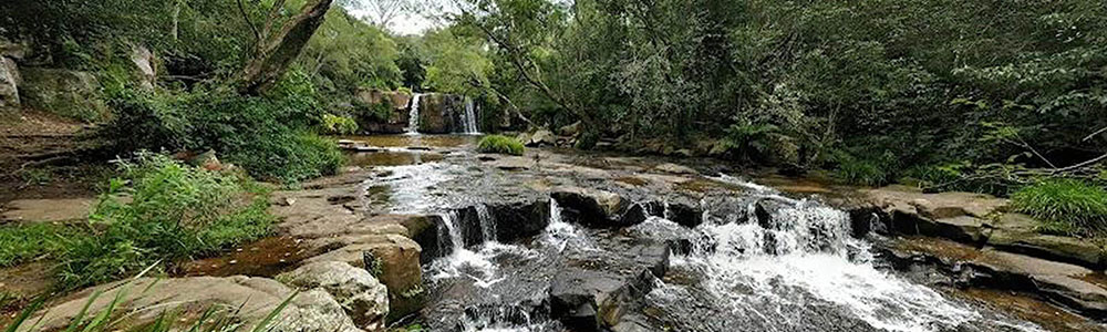 Paraguay
